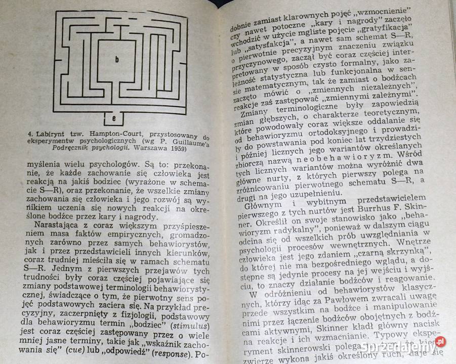 Główne idee współczesnej psychologii Tadeusz miękka Chełm