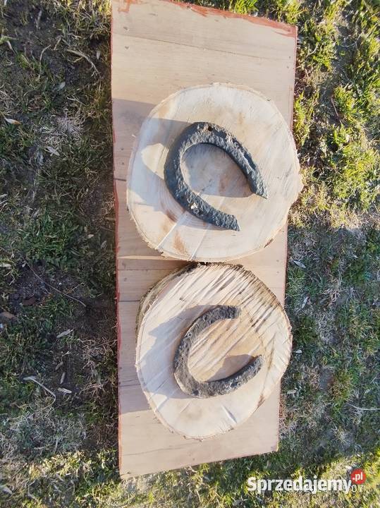 Podkowy na pniu drzewa brzoza wysyłka Szubin