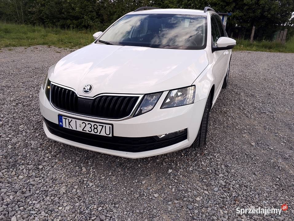 Skoda Octavia 2019 Bodzentyn