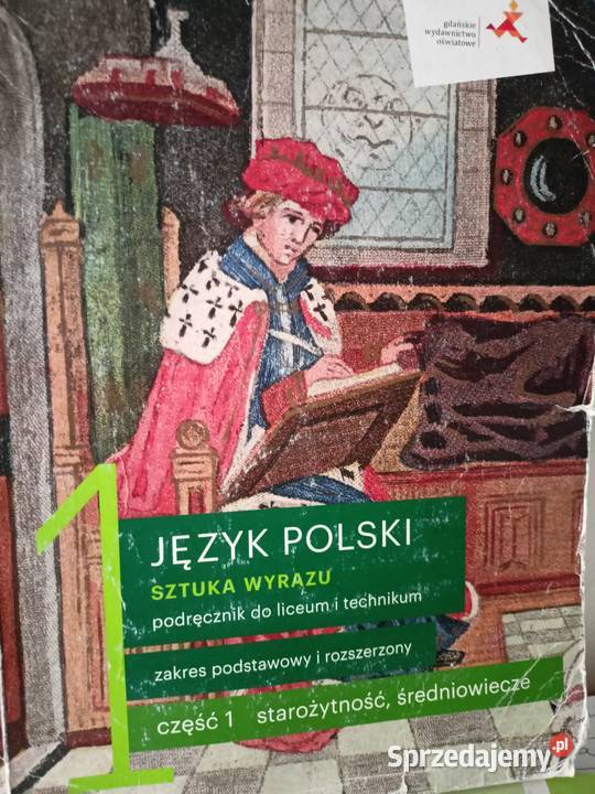 Sztuka wyrazu polski szkoły ponadpodstawowej Warszawa