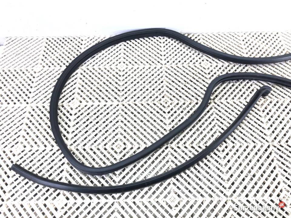 USZCZELKA DRZWI TYŁ PRAWA HONDA ODYSSEY Van