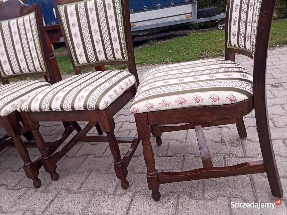 Witryna Biblioteka z szybkami Dąb kompletna Kozy