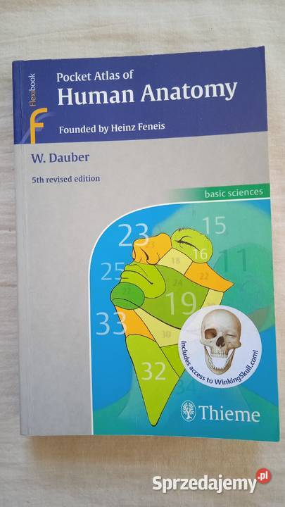 Pocket atlas Human Anatomy W Daubler tradycyjny podręcznik Warszawa