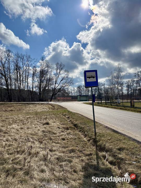 DZIAŁKA BUDOWLANA 1000 m ASFALT LAS SPOKOJNA sprzedam