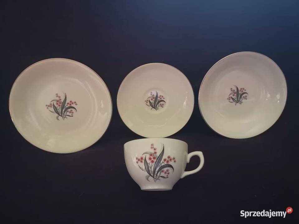 Filiżanka z talerzykiem Wedgwood Co Made in Porcelana i szkło pomorskie sprzedam