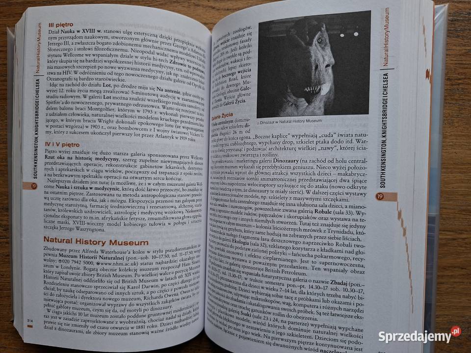 Londyn Podróże z pasją RoughGuides Kultura i Rozrywka