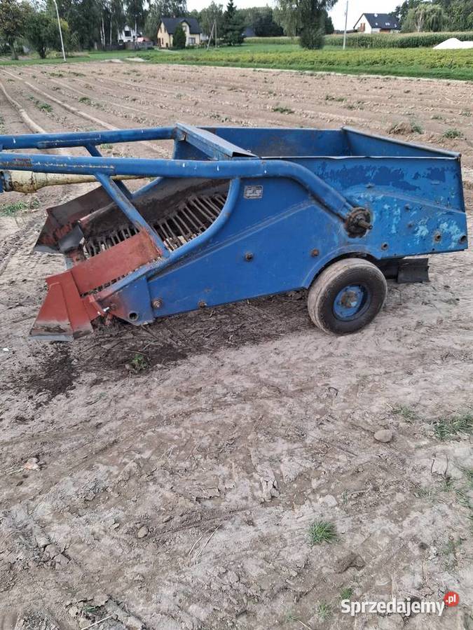 kopaczka do cebuli elewatorowa