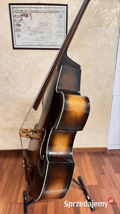 Akustycznoelektryczny kontrabas 34