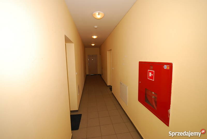 kamienicę w Opolu żywopłot Domy