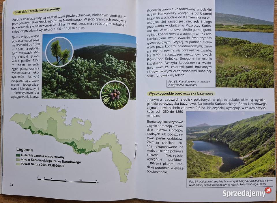 Torfowiska Karkonoszy Natura 2000 w Karkonoskim małopolskie Kraków sprzedam