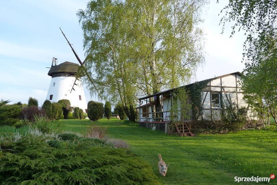 Wiatrak zabytkowy dom morzem zachodniopomorskie Niechorze