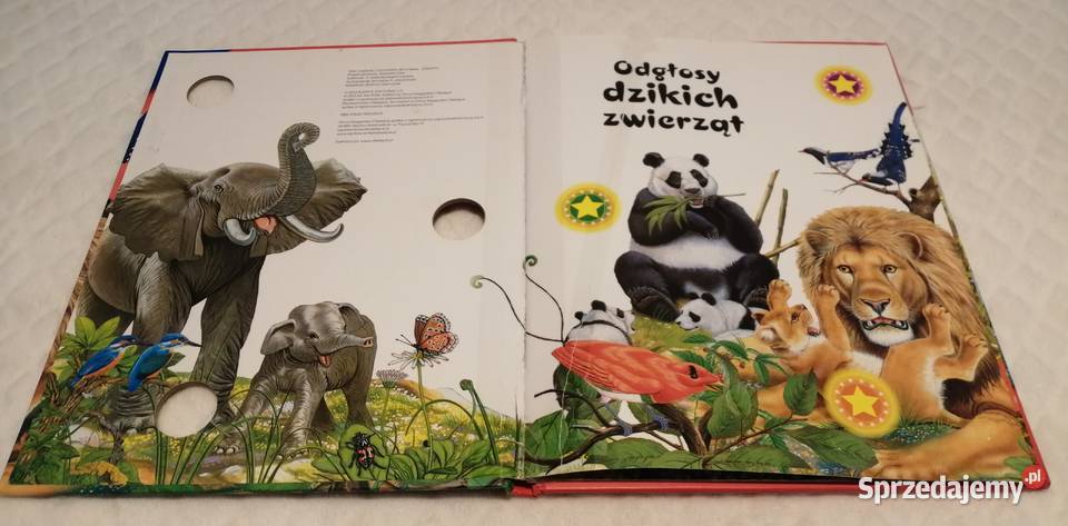 Odgłosy dzikich zwierząt książeczka dźwiękowa Czeladź