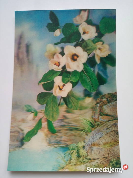 Pocztówka holograficzna Magnolia z lata 80te Dąbrowa Górnicza