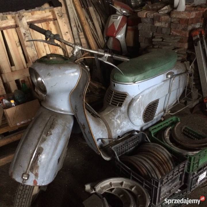 WFM Osa śląskie Siemianowice Śląskie