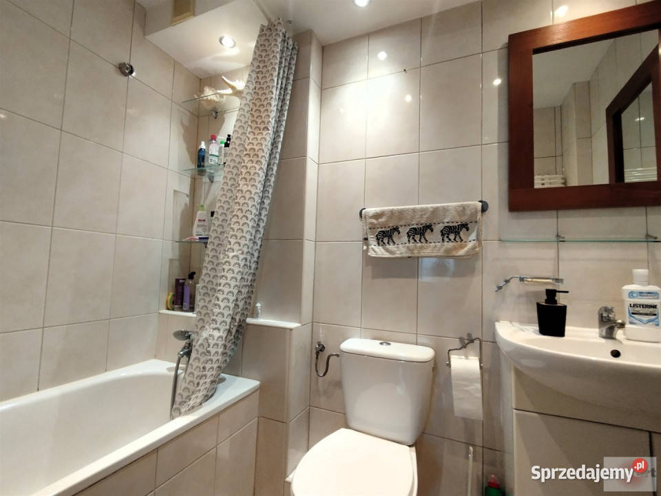 Do wynajęcia mieszkanie Łódź 535m2 3 pokoje