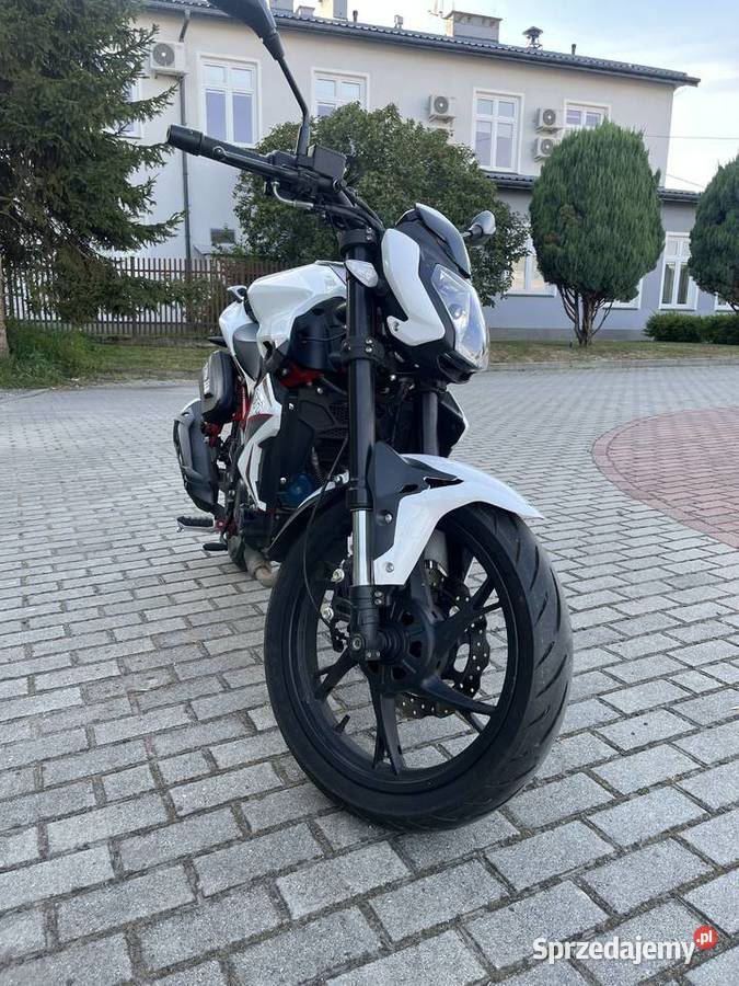 Benelli BN 125 2023 Kat B A1 DukeRCYzfcbr Benelli Kolbuszowa