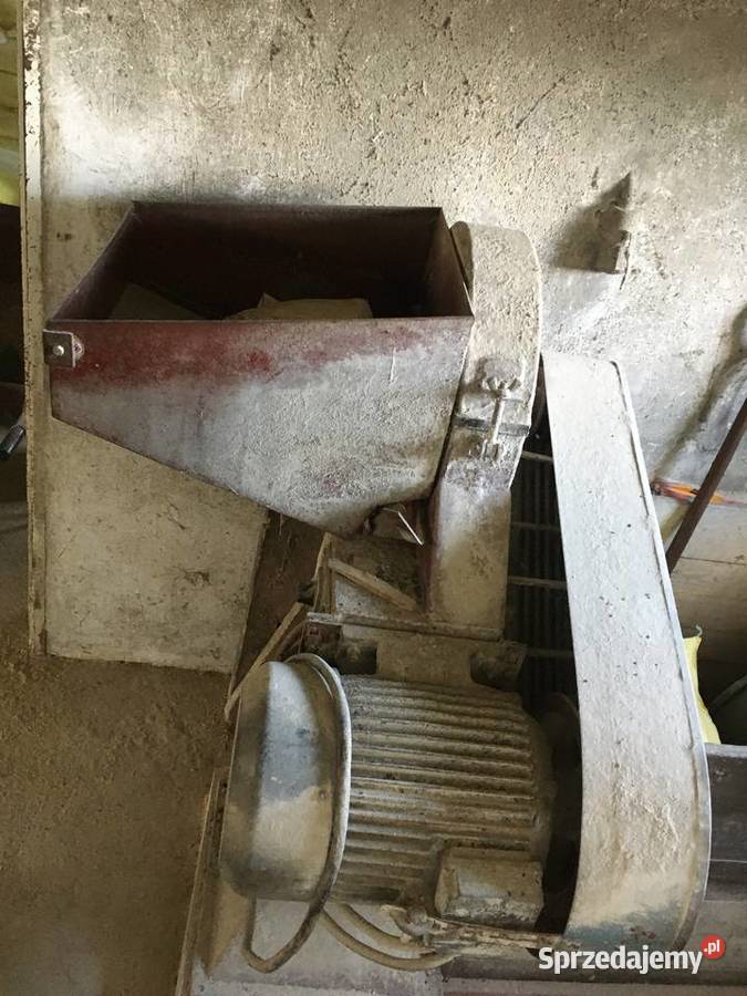 Śrutownik bijakowy kamienny