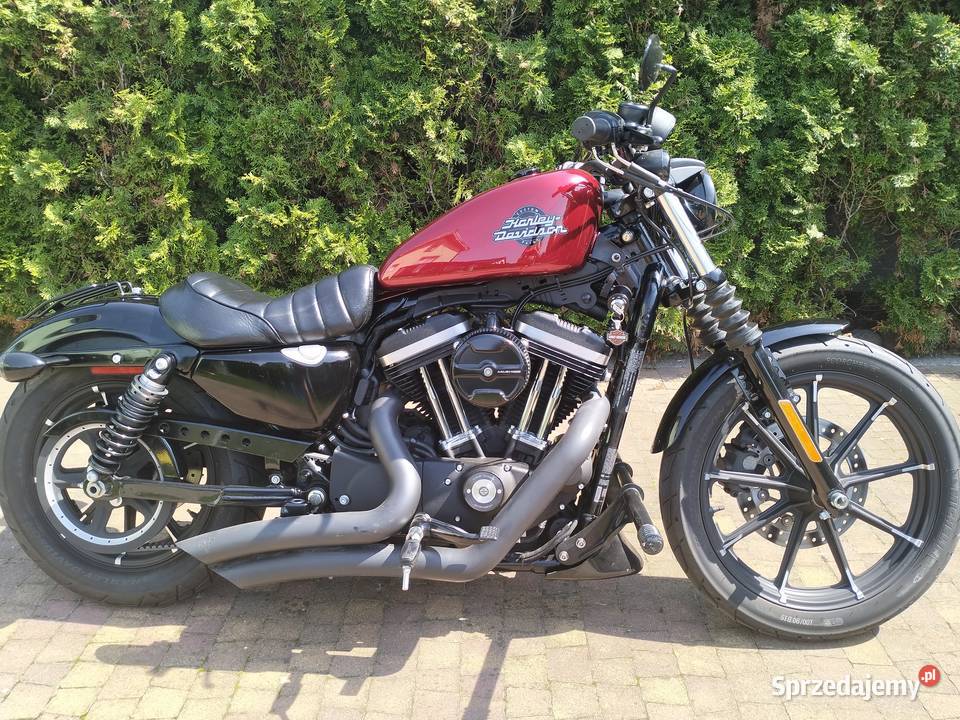 Harley Davidson SportsterIron 883cm3 Motocykle, skutery, quady Ostrów Wielkopolski sprzedam