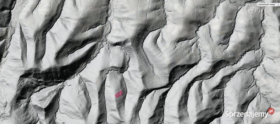 Sprzedam Las Przysietnica 12zł/m2