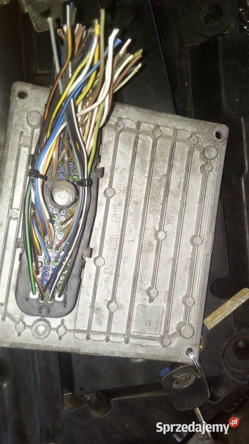 Fiesta mk6 13 8V komputer sterownik 2S6A12A650ZB osobowe Strzelce Krajeńskie