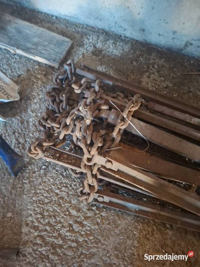 Taśma rozrzutnika polskiego