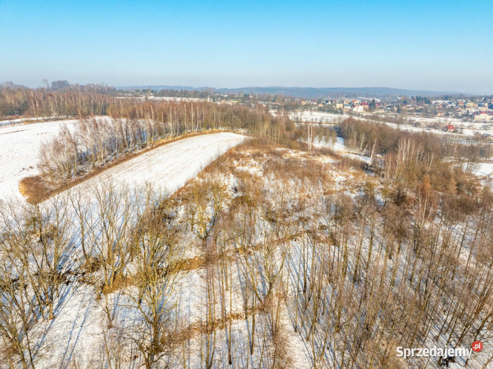 Rolna w urokliwej okolicy 16zł/m2 małopolskie Czułów sprzedam