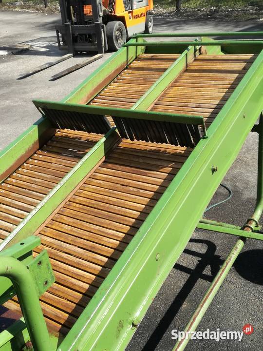 sortownik ziemniaków Amazone bk3 amazone Trzyciąż