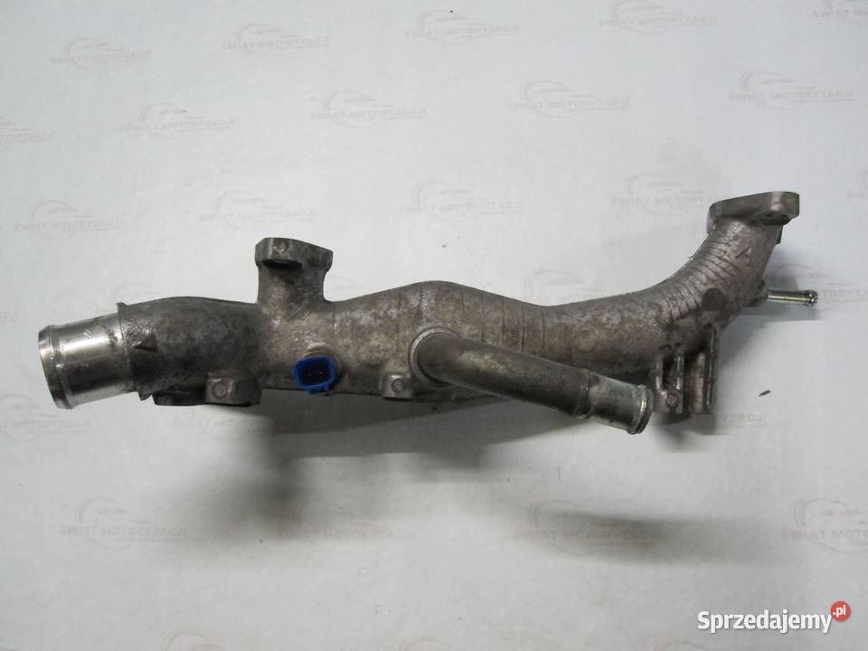 NISSAN MURANO Z50 350Z 35 V6 KRÓCIEC WODY Węże chłodnicy Motoryzacja sprzedam