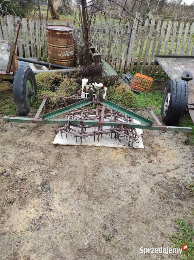 Brony trójki Jarosław