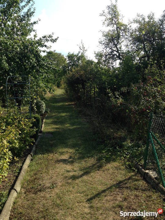 Działka ogródek 38a Dzierżoniów POD KOLEJARZ 380m2 Grunty i działki dolnośląskie