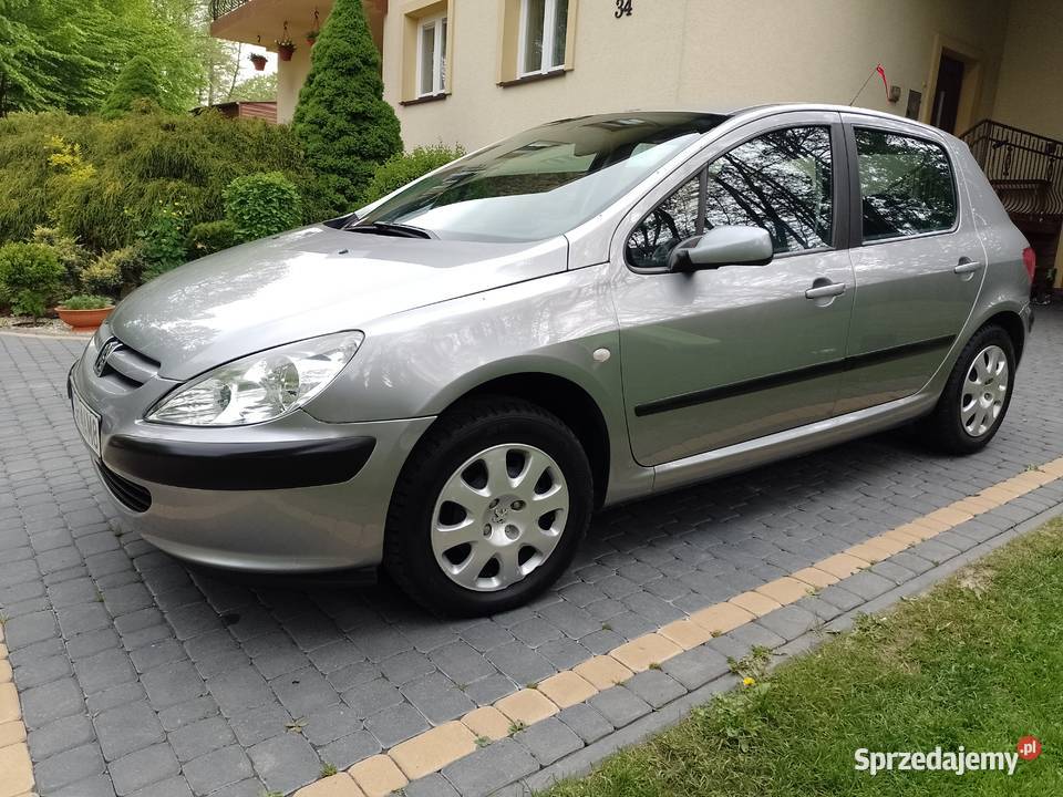Peugeot 307 2005r Benzynka 1400 16V Rok produkcji 2005 Jasło