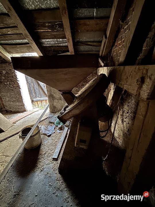 Śrutownik do zbóż Dopiewo