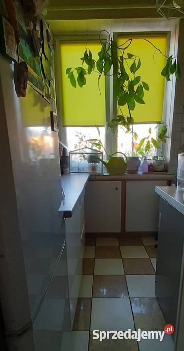 Sprzedam kawalerkę na Bałutach Łódź