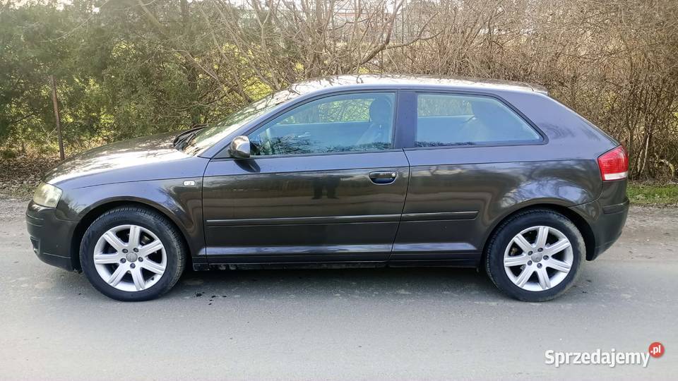 Audi A3 19 TDI 105 nieuszkodzony