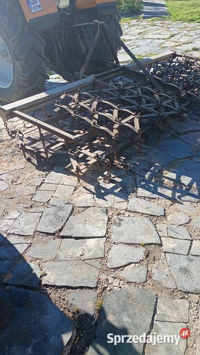 Brona brony zebowe nieuszkodzony Tczewskie Łąki