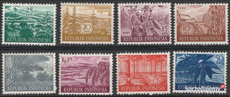 INDONEZJA ROŚLINNOŚĆ CZYSTE łódzkie Łódź