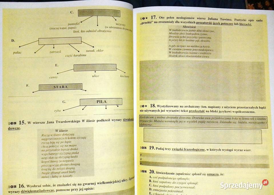Przepustka do liceum Język polski Z Lisiecka K Rok wydania 1998 Chełm