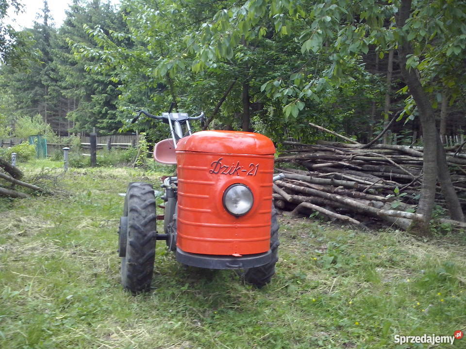 Ursus dzik 21 traktorek ciagnik jednoosiwy Polanica-Zdrój