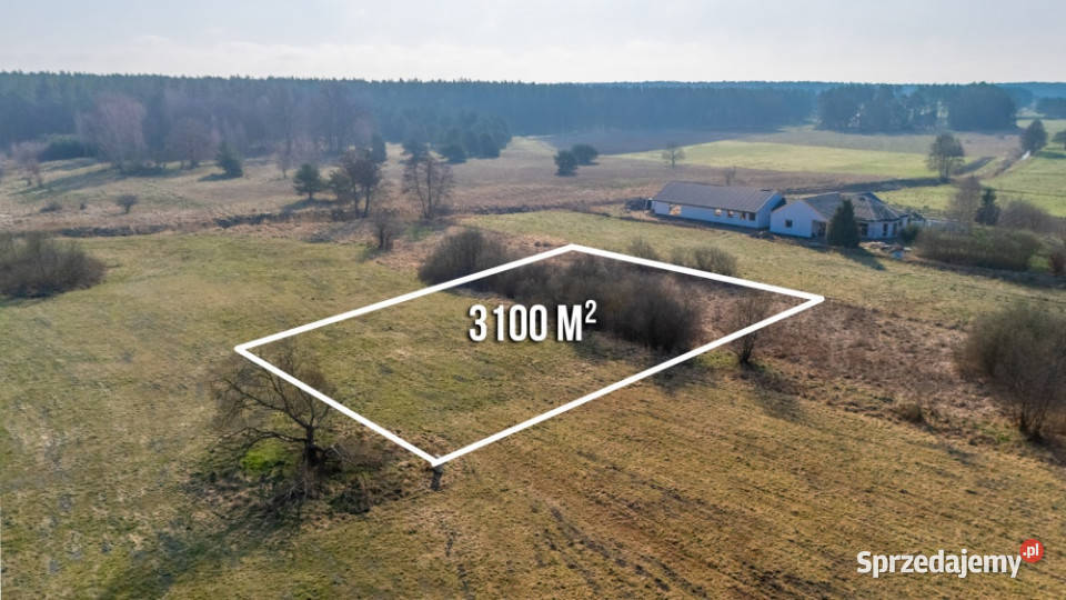 Działka w zielonej okolicy z wydanymi warunkami Szczecin