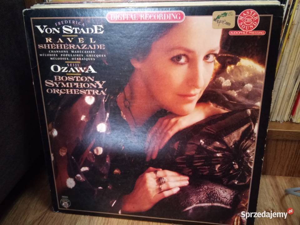 Płyty winylowe mint near mint opera stare Włocławek