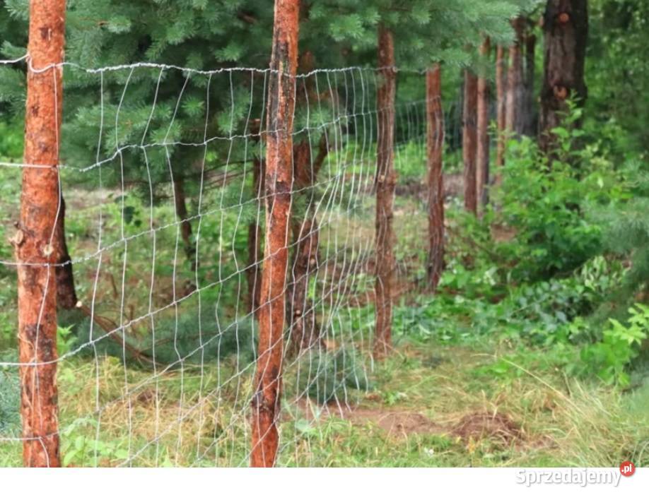Stemple Paliki Słupki Okrąglaki KULOKI NOWE 26m Radzionków