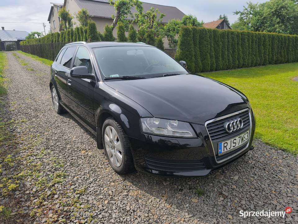 Sprzedam Audia A3 8P lifcie Łężyny