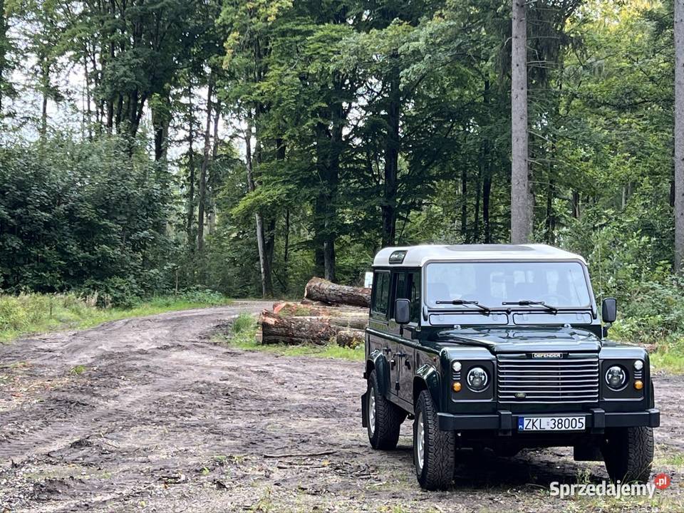 Defender 300 Tdi zachodniopomorskie