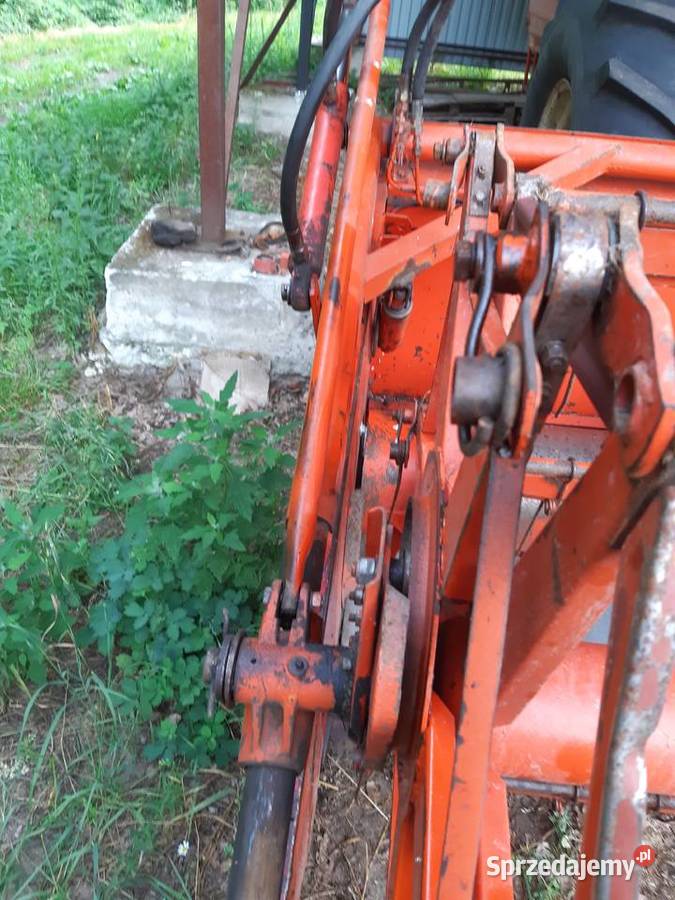 Heder bizon Rekord Z058 Super Z056 podkarpackie
