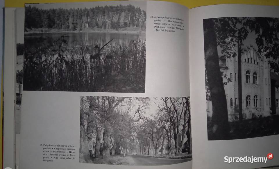 Sprzedam album Pilskie 1979