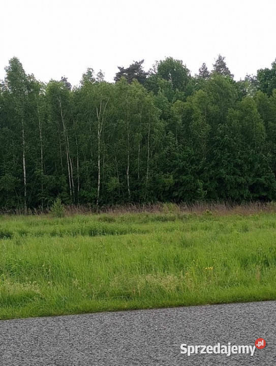 Grodzisko Dolne Działka pod lasem 4720 ar z WZ 4720m2
