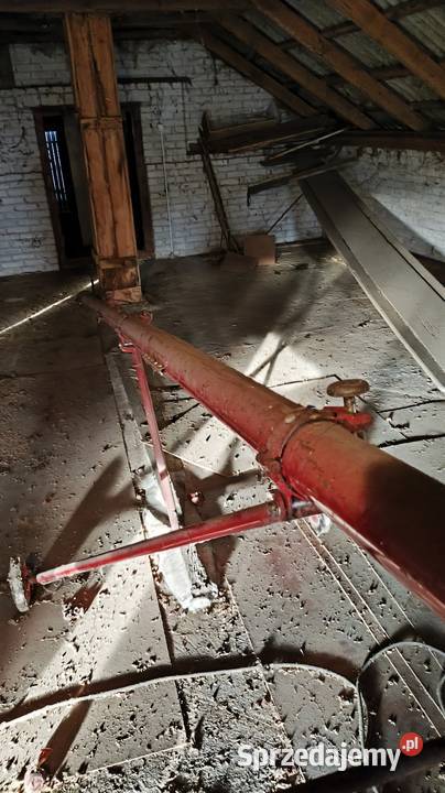 Żmijka ślimak do zboża lubelskie Bezwola