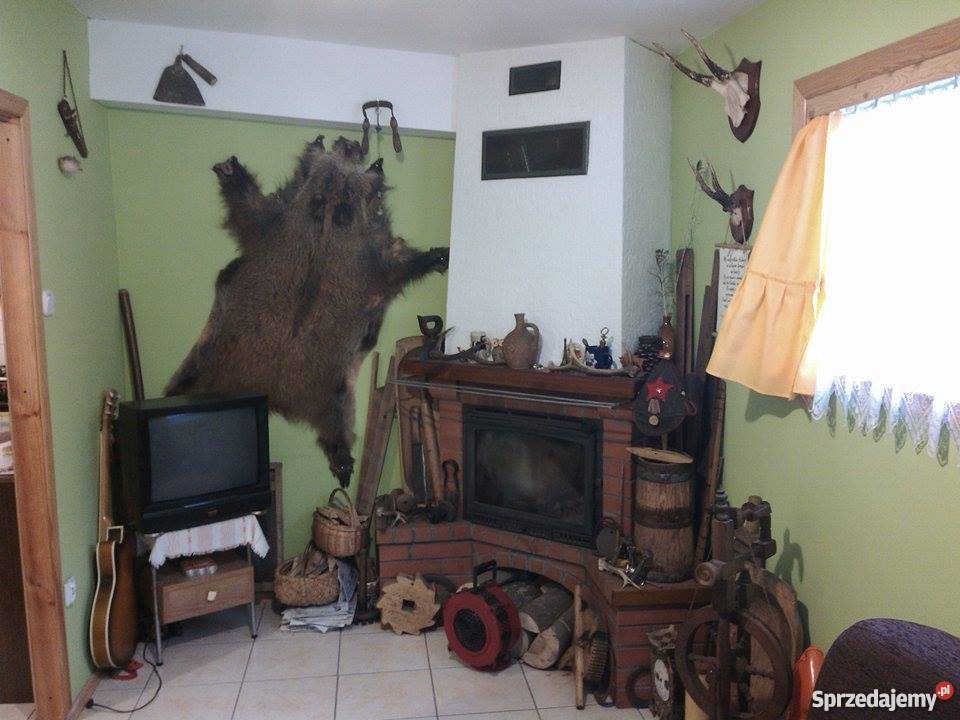 Sprzedam domek letniskowy w okolicach Ostródy asfalt warmińsko-mazurskie Ostróda sprzedam