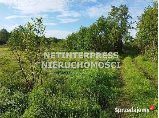 sprzedaży działki 11377m2 Radziejowice mazowieckie