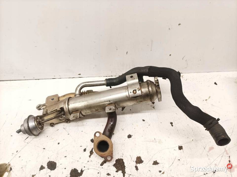 CHŁODNICA SPALIN 03L131512AH 20 TDI Audi A6 III osobowe